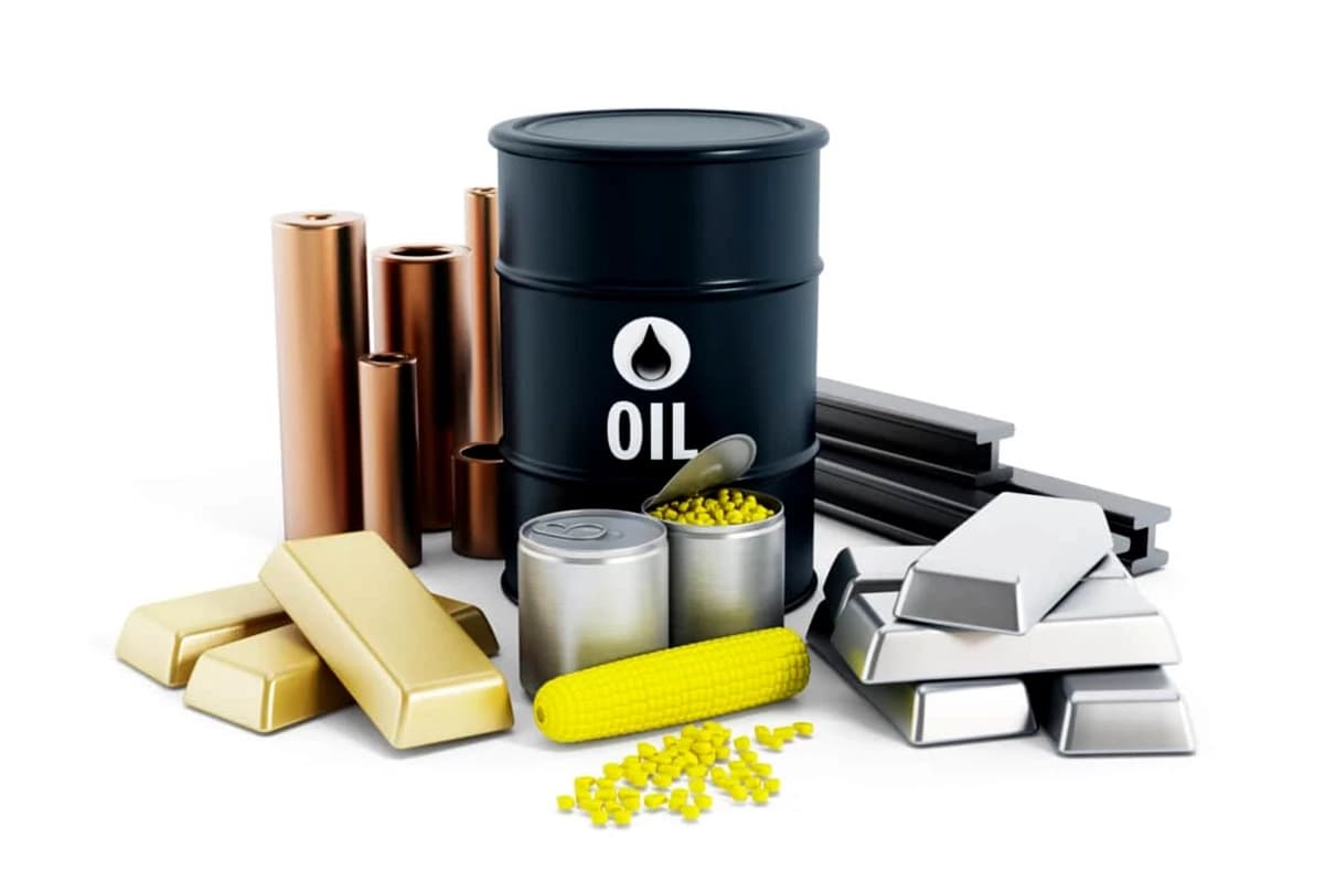 گواهی سپرده کالایی چیست؟ راهنمای کاربرد، شرایط و نحوه صدور گواهی سپرده کالایی
